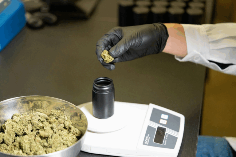 California Cannabis Testing Labs CCTL, Explains Setting the Standard for Cannabis Testing